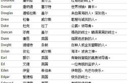 宅男怎么翻译英文
