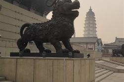定州在线网