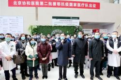 抗疫英语作文带翻译