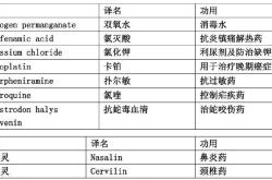 出国下载什么软件翻译好用