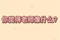亲爱的kate老师翻译