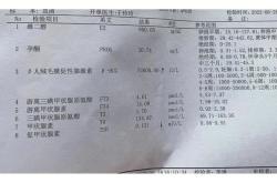 咪吐英文翻译