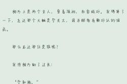 亲爱的翻译官番外婚后