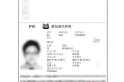 护照翻译件图片