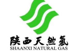 陕西一德新能源集团招聘