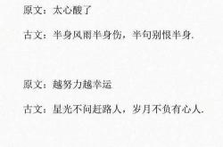 深情告白小说免费阅读