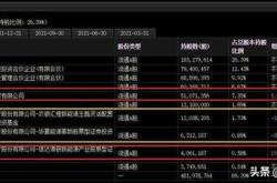 新能源一哥