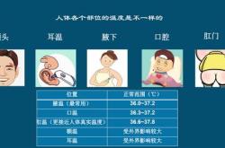 量体温翻译
