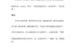 骥不称其力称其德也翻译