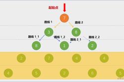 动态规划的代码