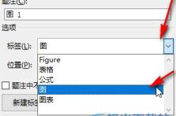 注释翻译法