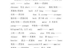 六年级下册英语翻译器
