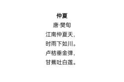 转眼已是秋天