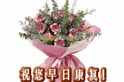 祝你早日康复翻译英语