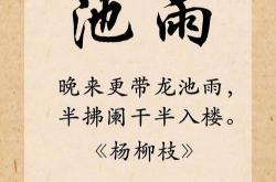 数罟不入洿池拼音