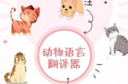 翻译软件动物