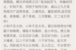 鲍子难客文言文简洁翻译