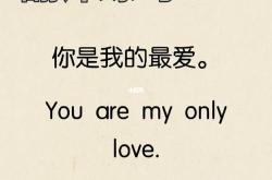 沉醉翻译成英语