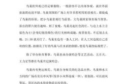 场馆英文怎么写
