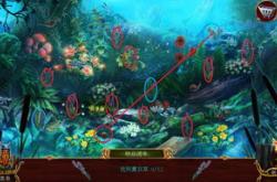 驯兽游戏中文版
