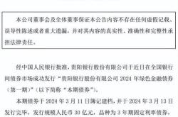 贵阳金融资产交易所有限公司