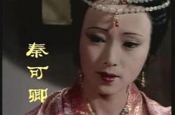 中国翻译张京翻译视频