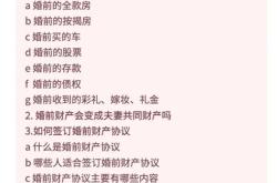 龙飞律师