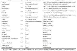 活度怎么翻译成英文