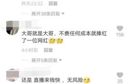 故意的翻译