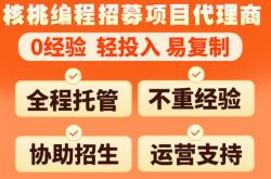 核桃编程班主任