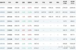 新三板中签公告