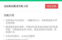 爱词霸在线翻译英语
