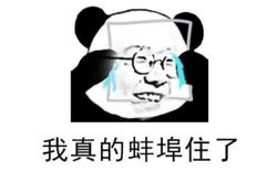 蚌埠住了什么意思?
