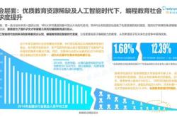 中国的编程
