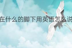 英语仔细的翻译怎么写