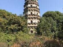 游虎丘小记文言文字词翻译