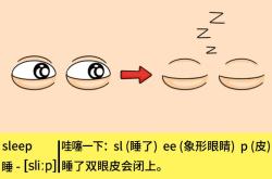 嗜睡的英文单词