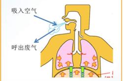 呼吸传播疾病