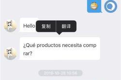 镇江翻译驾照