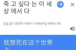 哈翻译韩文