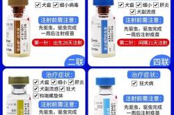天津疫苗英文报告哪里可以做