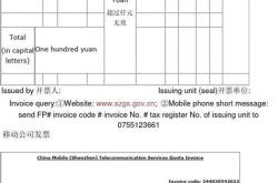 发红包翻译成英文的软件