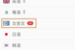 中文语音翻译器