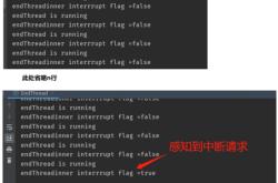 is在编程软件上什么意思呀