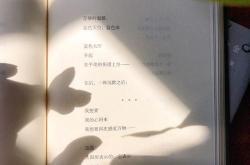 质朴的品质翻译成英语