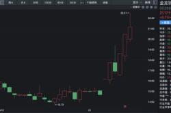 新能源龙头股一览代码