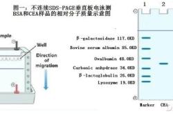 page对象返回的数据缺少怎么办