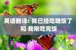 他晚饭后吃冰激凌翻译