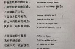 我有自己的梦想翻译