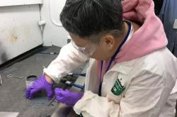 洛德化学新能源胶水怎么样